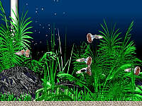 「Aquarium」