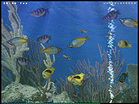 「Aqua 3D Screen Saver」