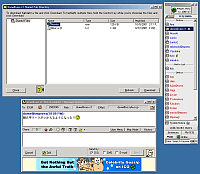 「ICQ 2001b」Beta v5.15 Build #3633