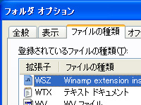 スキンファイルの拡張子“WSZ”を選択して［削除］ボタンを押そう