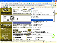 「Web Accessibility Toolbar」v1.2 日本語版