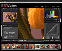 「Adobe Photoshop Lightroom」パブリックベータ4 日本語版