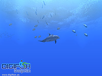 「Digifish Dolphin」体験版